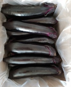 경기도 여주 가지 3개