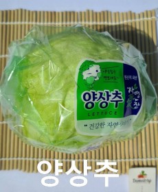 국내산 양상추
