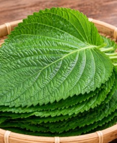 국내산 밀양 깻잎 5묶음