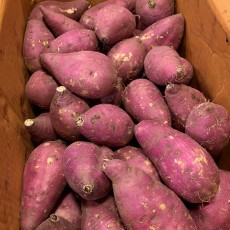 호밤고구마 1kg 행사중!! 