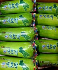 국내산 진주 애호박