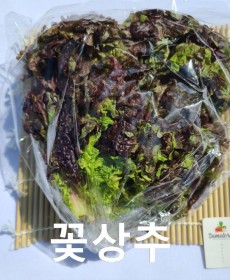 국내산 꽃상추