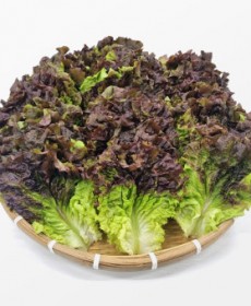 국내산 꽃상추 180g