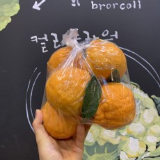 제주 맛보장 한라봉 맛있음 !! 8개