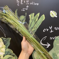 국산 머위대