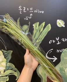 국산 머위대