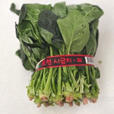 시금치 1단