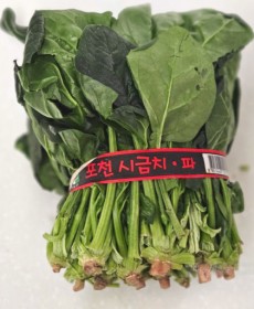 시금치 1단