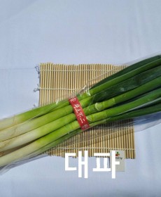 국낸산 햇대파