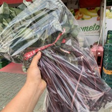 고구마순 1단 국내산