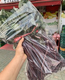 고구마순 1단 국내산