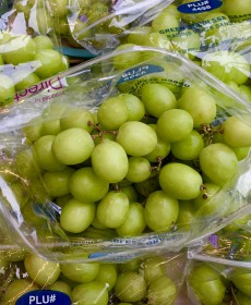 수입산 애플청포도 1kg이상