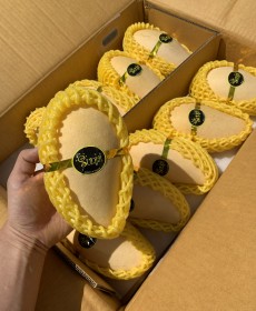 항공편! 태국산 망고 2개 특사이즈