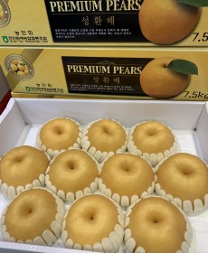 선물용 신고배 7.5kg 8~10개 ★선물용★보자기포장해드려요~