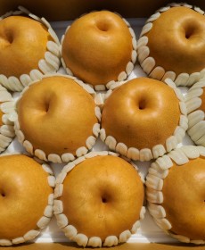 선물용 신고배 7.5kg 8~10개 ★선물용★보자기포장해드려요~