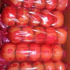 문산 단감 행사상품!! 5개 왕사이즈