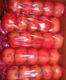 문산 단감 행사상품!! 5개 왕사이즈