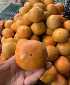 진주단감 11개 사이즈 : 왕특