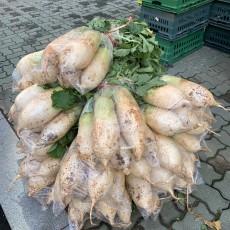 줄포에서 올라온 다발무 5개