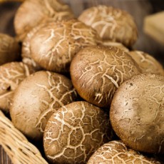 수입 표고버섯 330g
