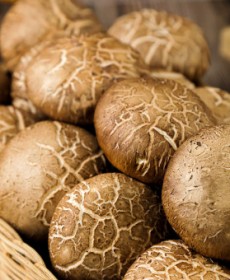 수입 표고버섯 330g