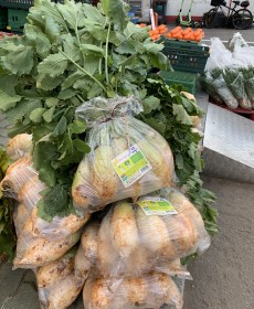 단단한무 천수무 6~8개