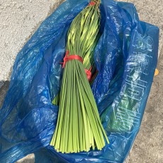 국산 남해마늘쫑 400g