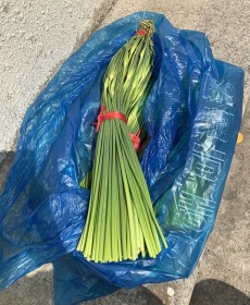 국산 남해마늘쫑 400g