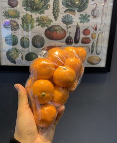 조생 감귤 1봉지 1kg 소과