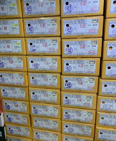 ★맛보장★다우렁감귤 1박스 S 사이즈업