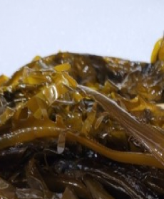 국내산 부산기장 물미역