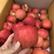 본격! 홍로사과 5~6개 (국내산)