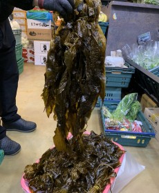 국내산 부산기장 곰피물미역