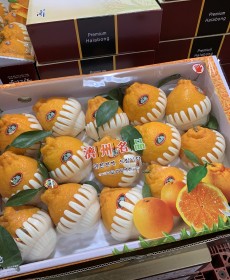 선물세트 제주 한라봉 5kg 16개