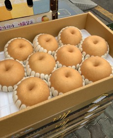 배 선물세트 9~10개