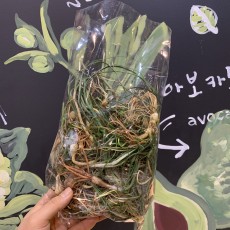 노지 흙달래 350g