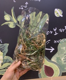 노지 흙달래 250g