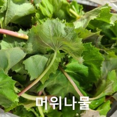 머위나물 250g