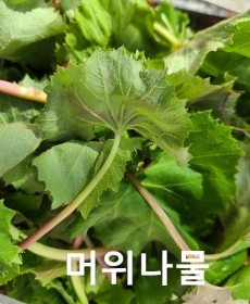 머위나물 250g
