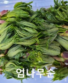 국산 엄나무순 200g 2팩 행사중!!