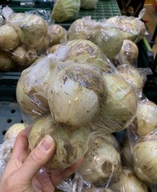 무안 햇양파 1.0kg