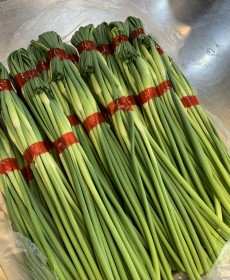 국산 마늘쫑 1단 작은단