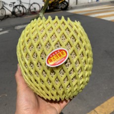 대소 메론 1통 오늘의행사상품
