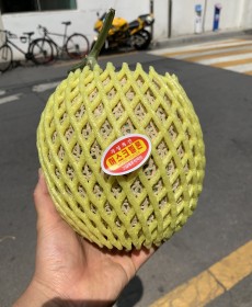 대소 메론 1통 오늘의행사상품