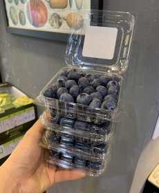 수입블루베리 125g 4팩