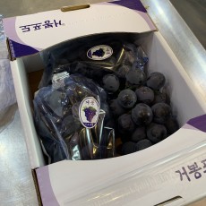 국산 추풍령 거봉 2kg 3송이