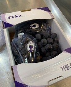 국산 추풍령 거봉 2kg 3송이