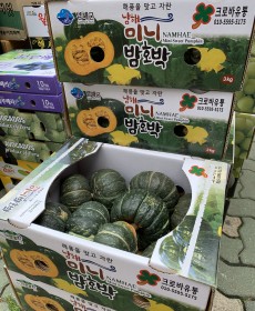 미니밤호박 9개 제주도