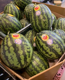 하우스 우곡 수박 7kg 맛보장 엄청달아요!!