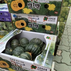 미니 밤호박 3개 제주도